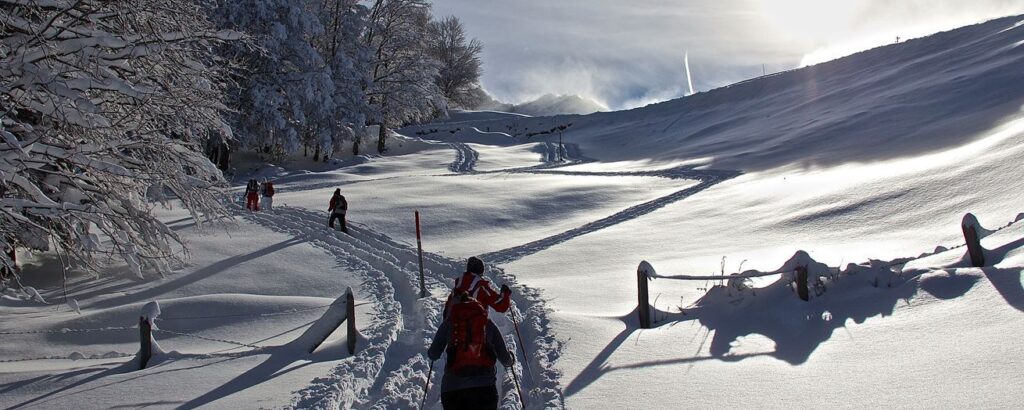 Schneeschuhwandern Haldi