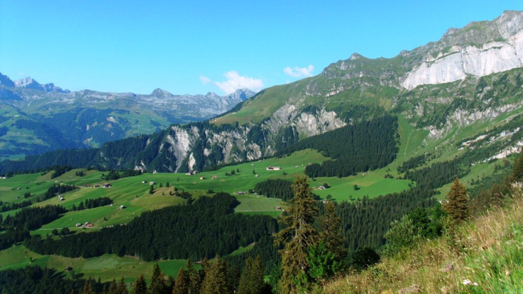 Sommer auf der Sonnenterasse Haldi und Umgebung