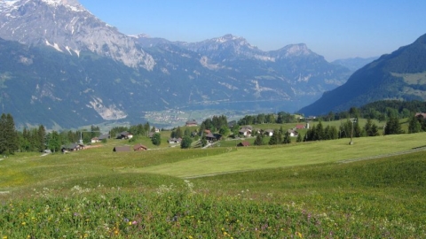 Sommer auf der Sonnenterasse Haldi