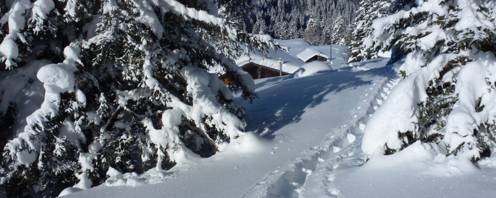 Datenschutzerklärung